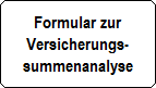 Formular zur
Versicherungs-
summenanalyse